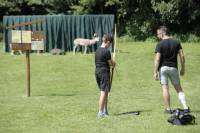 3D Archery Park - Lukostřelba